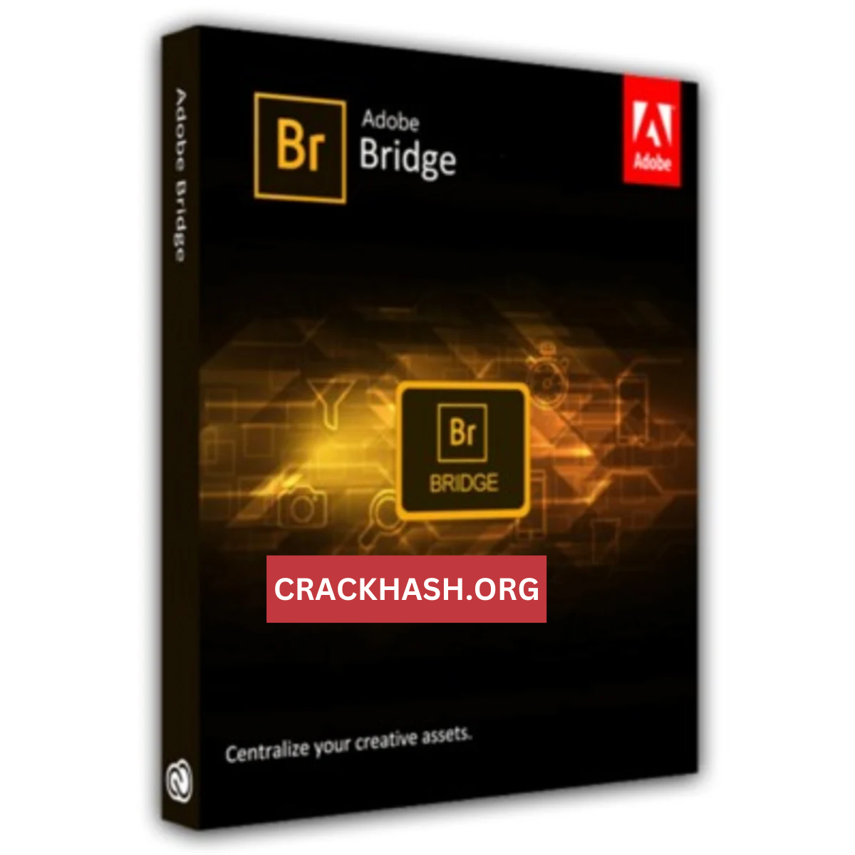 Adobe Bridge CC 2022